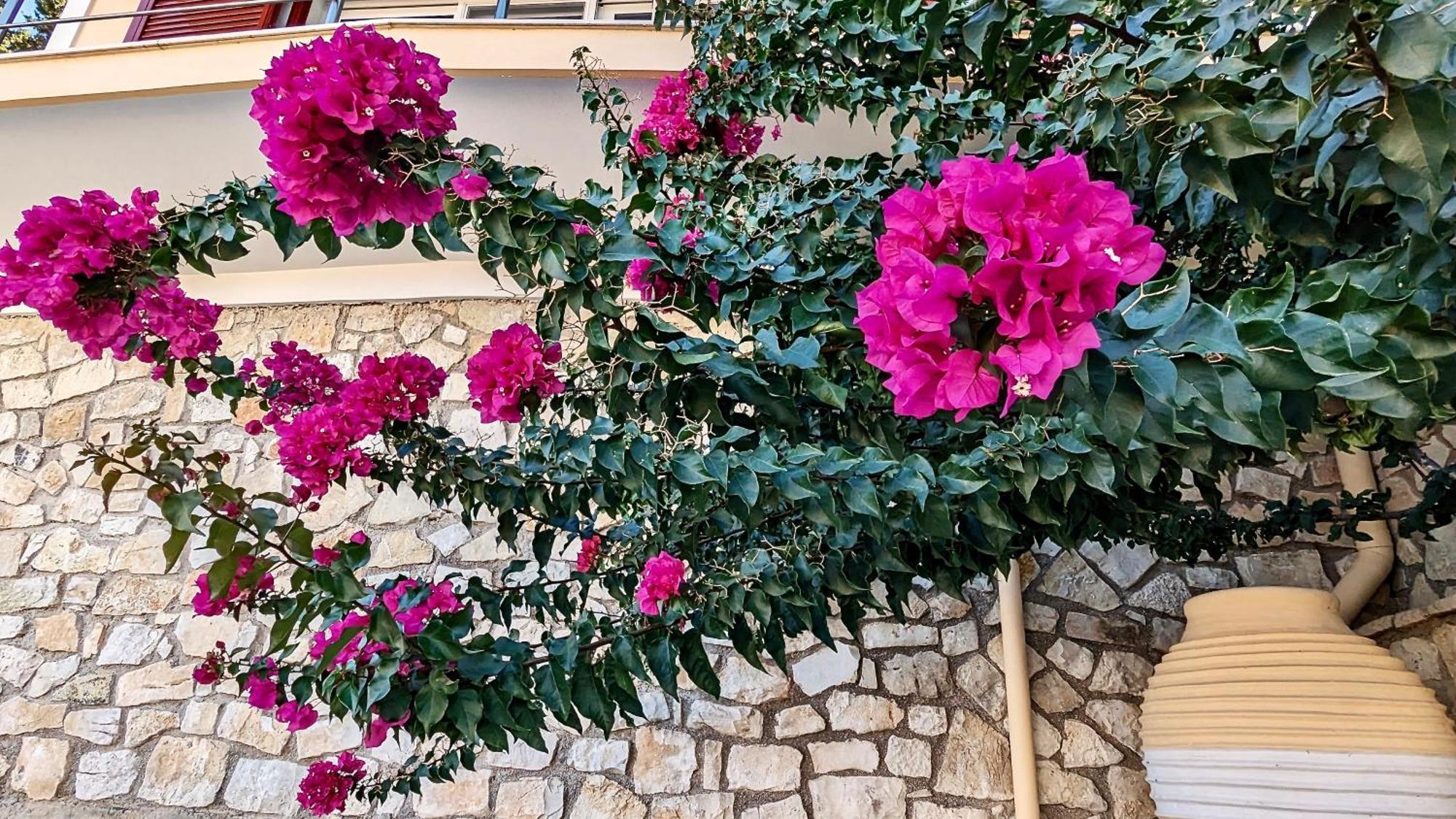 Villa Avgerini Paxos ガイオス エクステリア 写真